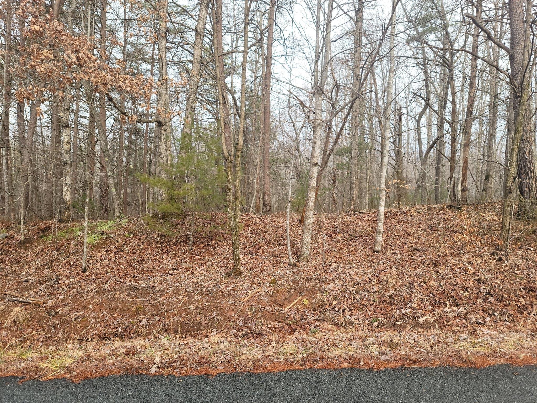0 King Richard Road Ferrum, VA 24088 - Photo 4 of 5 a view of a outdoor space