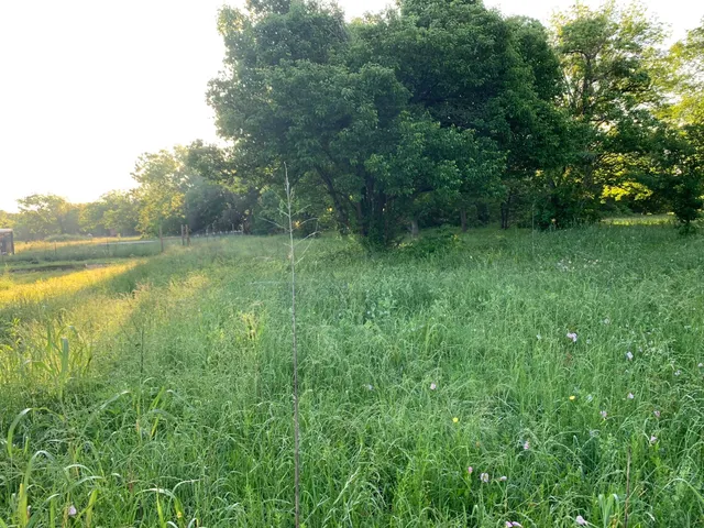 a view of an outdoor space and a yard