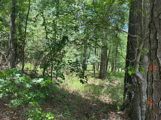 $50,000 | 1126 Sunset Cove, Tignall, GA 30668