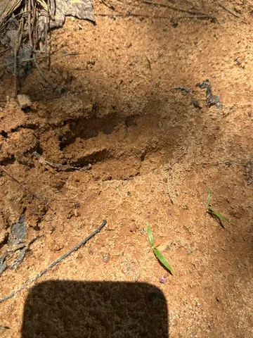 $50,000 | 1126 Sunset Cove, Tignall, GA 30668