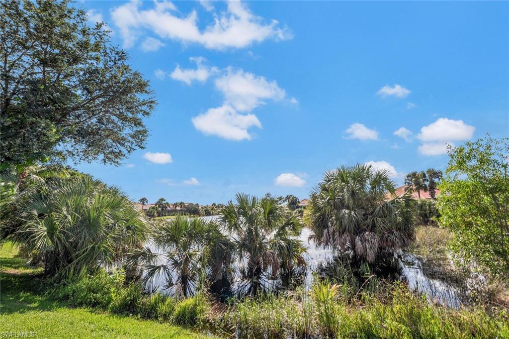 8237 Valiant Drive Naples, FL 34104 - Photo 33 of 35 Natural preserve view