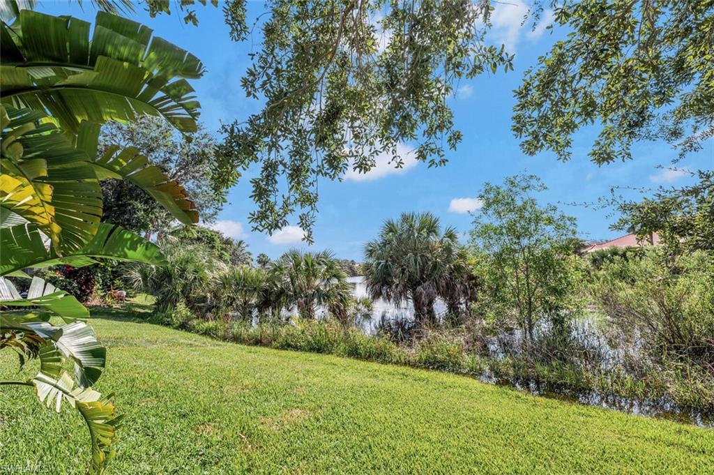 8237 Valiant Drive Naples, FL 34104 - Photo 34 of 35 View of yard