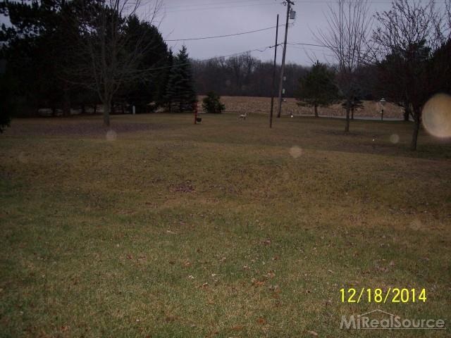 5814 Falkenbury Road North Branch, MI 48461 - Photo 22 of 32