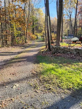 a view of a yard with large trees