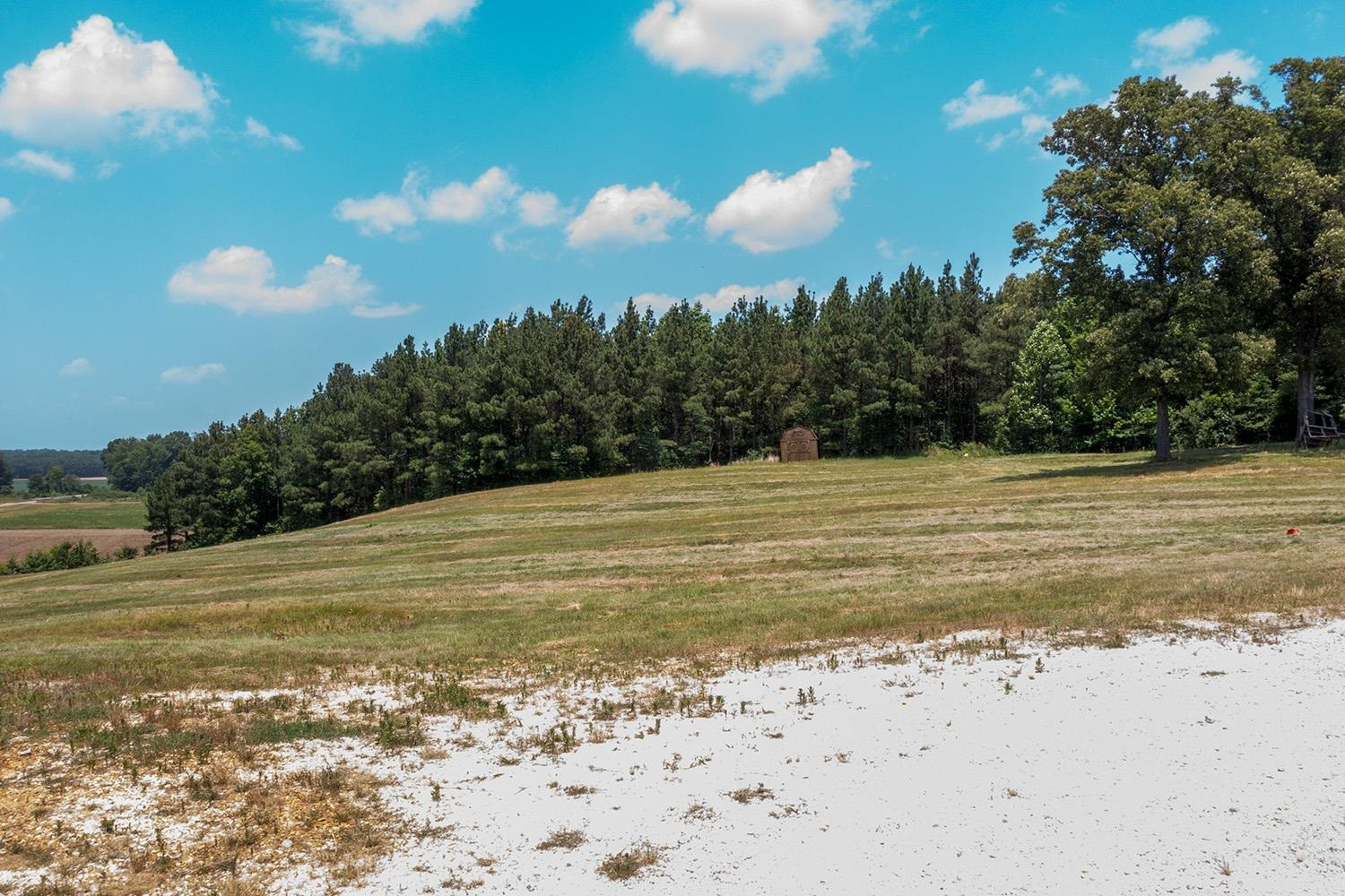 2301 Janes Mill Road Gleason, TN 38229 - Photo 6 of 7 Photo 7