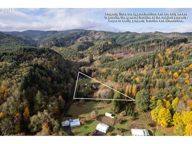 a close up of a plant in a pot