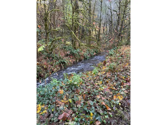 $280,000 | 74763 Conyers Creek Road, Clatskanie, OR 97016