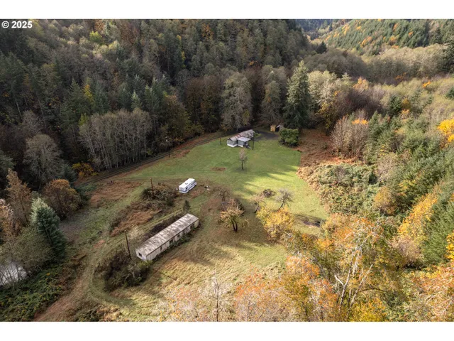 a view of a forest with a yard