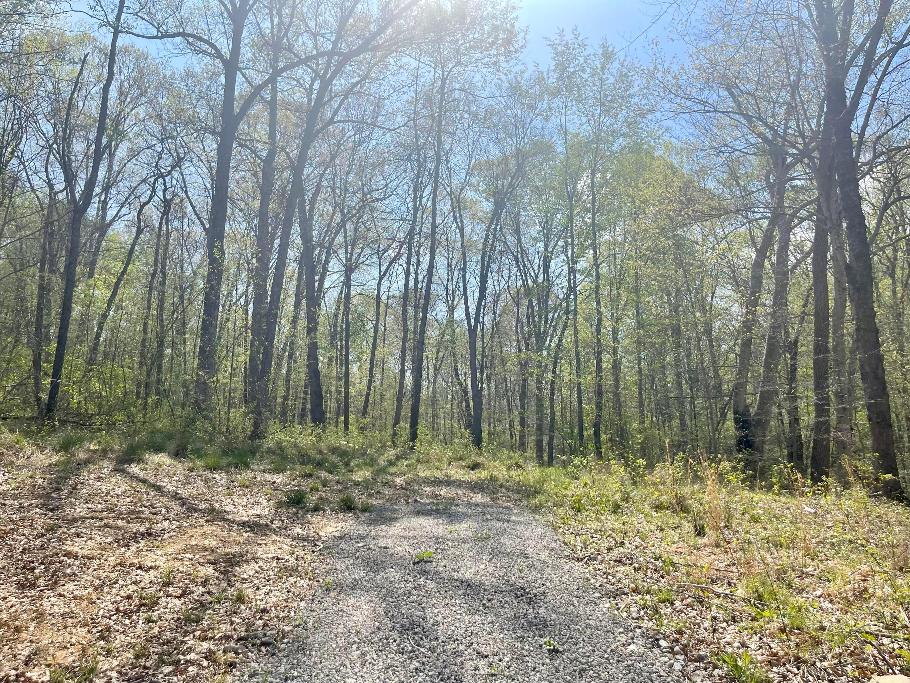 0 Dunlap Road Rockbridge, OH 43149 - Photo 4 of 18 0 Dunlap Road, Rockbridge, Ohio