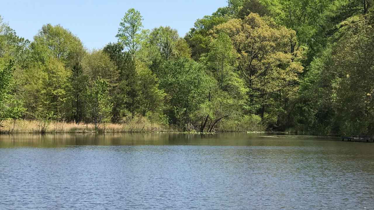 820 North Green River Road Gaffney, SC 29341 - Photo 8 of 15