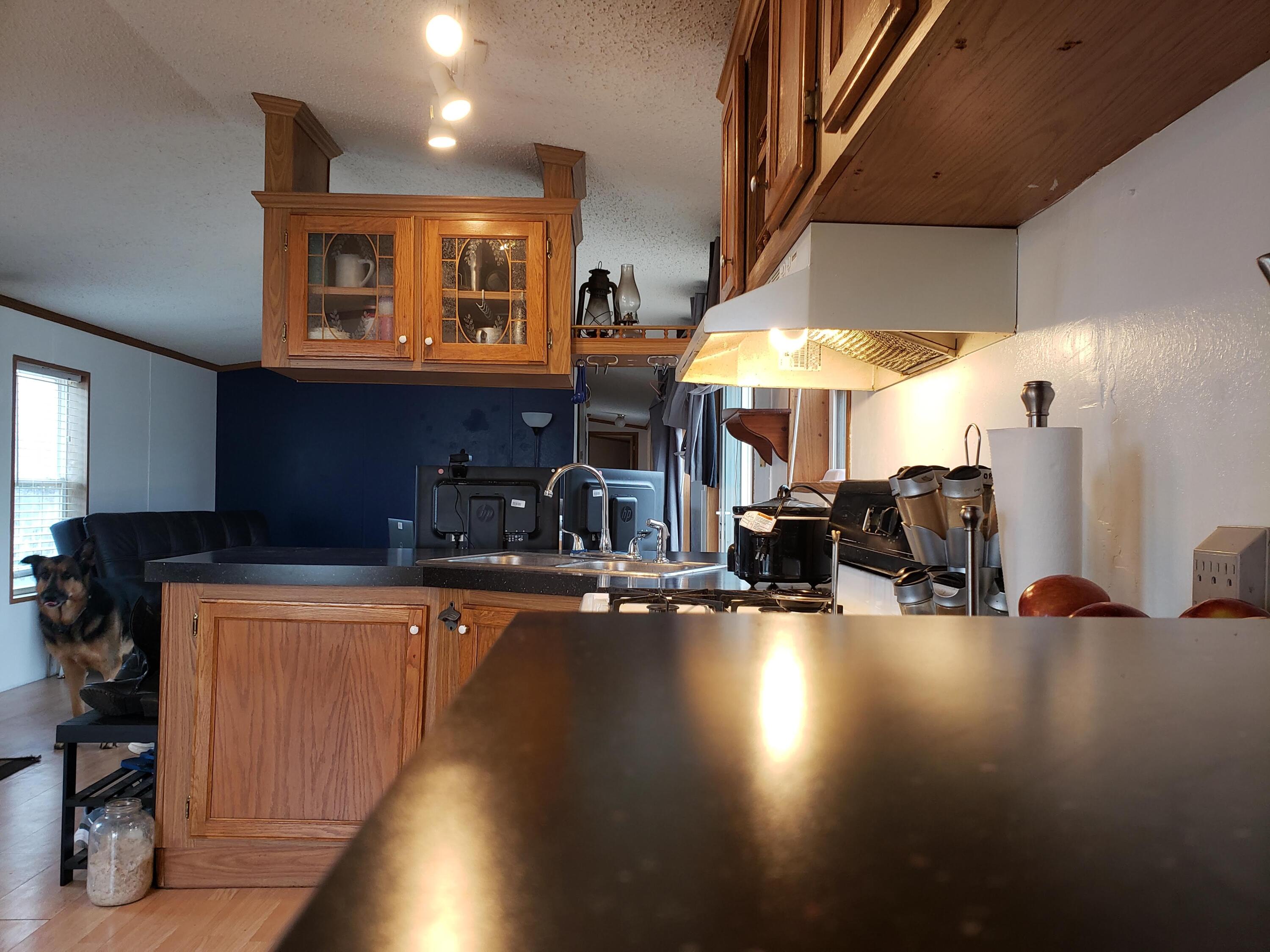 349 East Adams Road Hesperia, MI 49421 - Photo 11 of 15 Kitchen