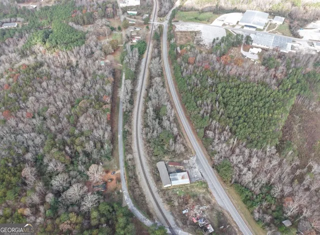 a close up of a plant in a garden