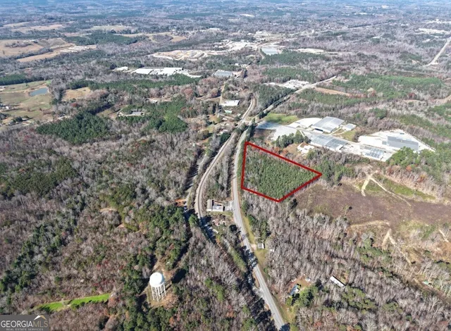 a view of a tree in a yard