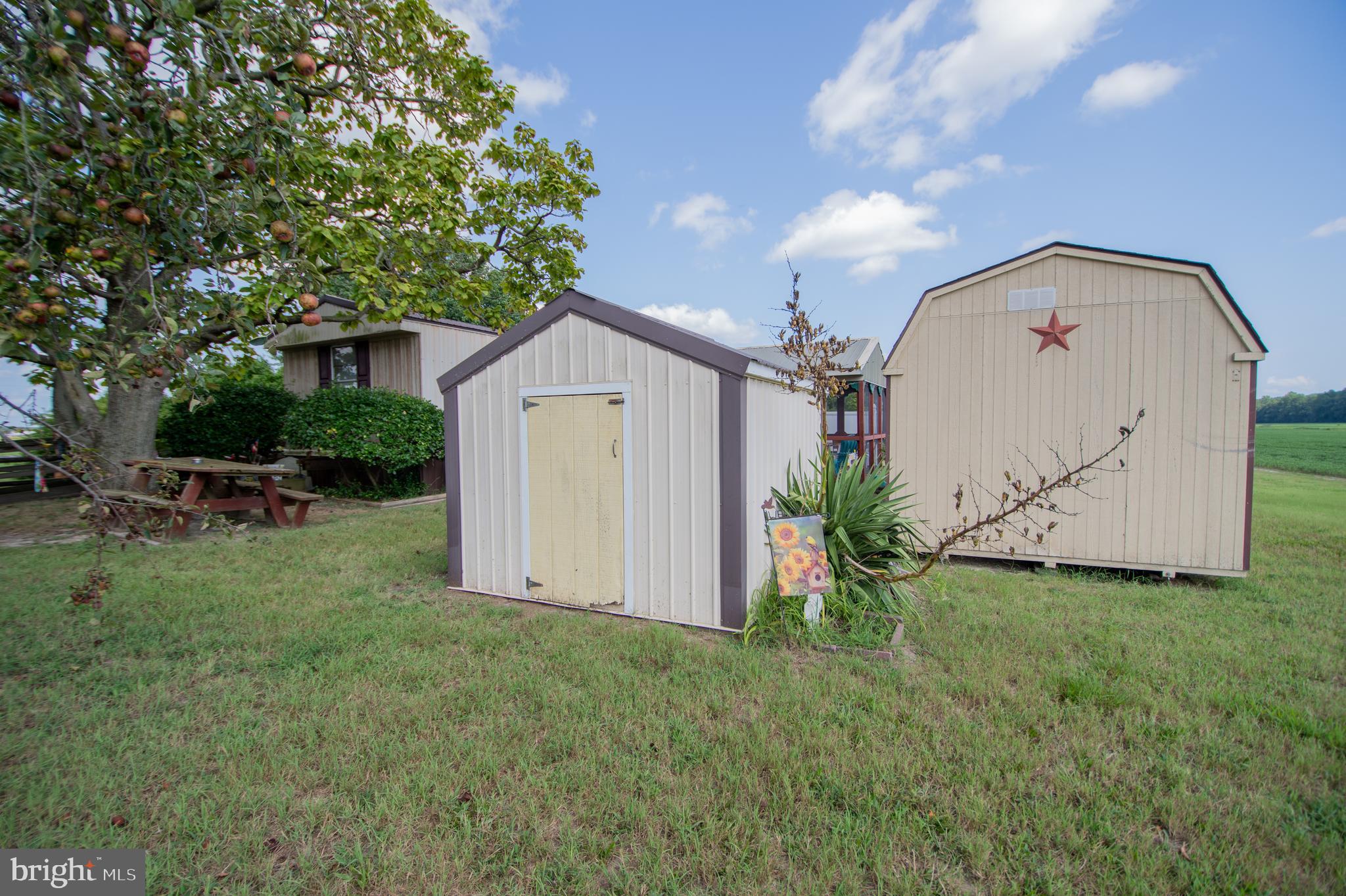 37245 Firemans Road Millsboro, DE 19966 - Photo 24 of 31 a view of a back yard of the house