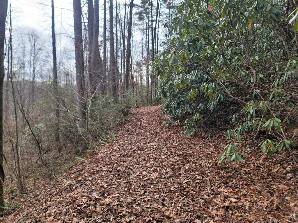 999 Pounding Mill Road Marble, NC 28905 - Photo 17 of 23 Gallery Image 17