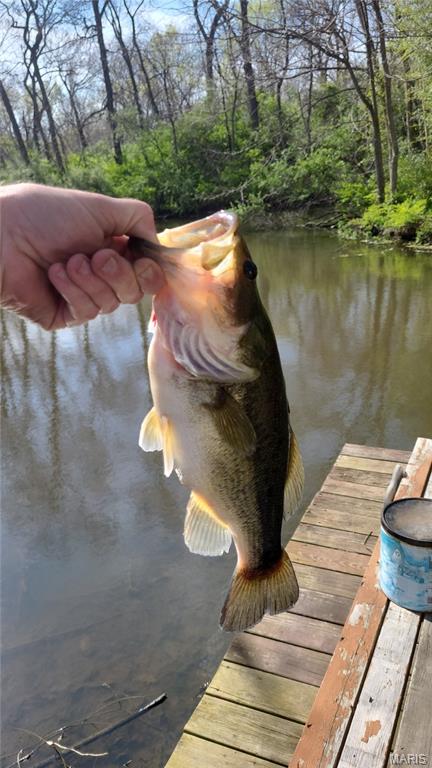 7401 Highway 140 Edwardsville, IL 62025 - Photo 26 of 30