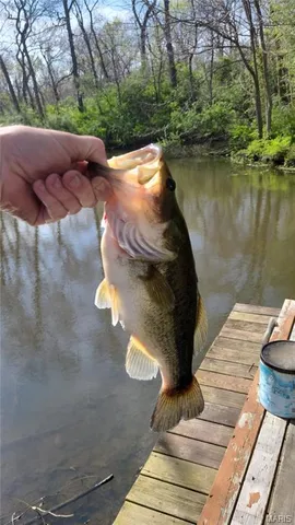 $300,000 | 7401 Highway 140, Edwardsville, IL 62025