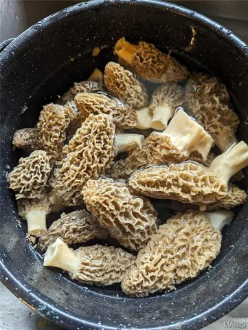 $300,000 | 7401 Highway 140, Edwardsville, IL 62025