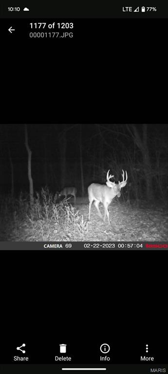 7401 Highway 140 Edwardsville, IL 62025 - Photo 28 of 30