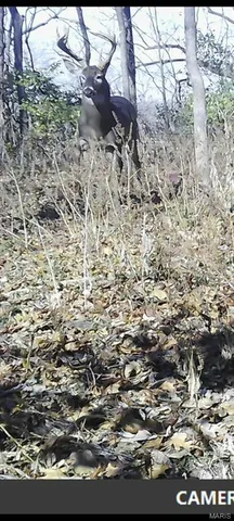 $300,000 | 7401 Highway 140, Edwardsville, IL 62025