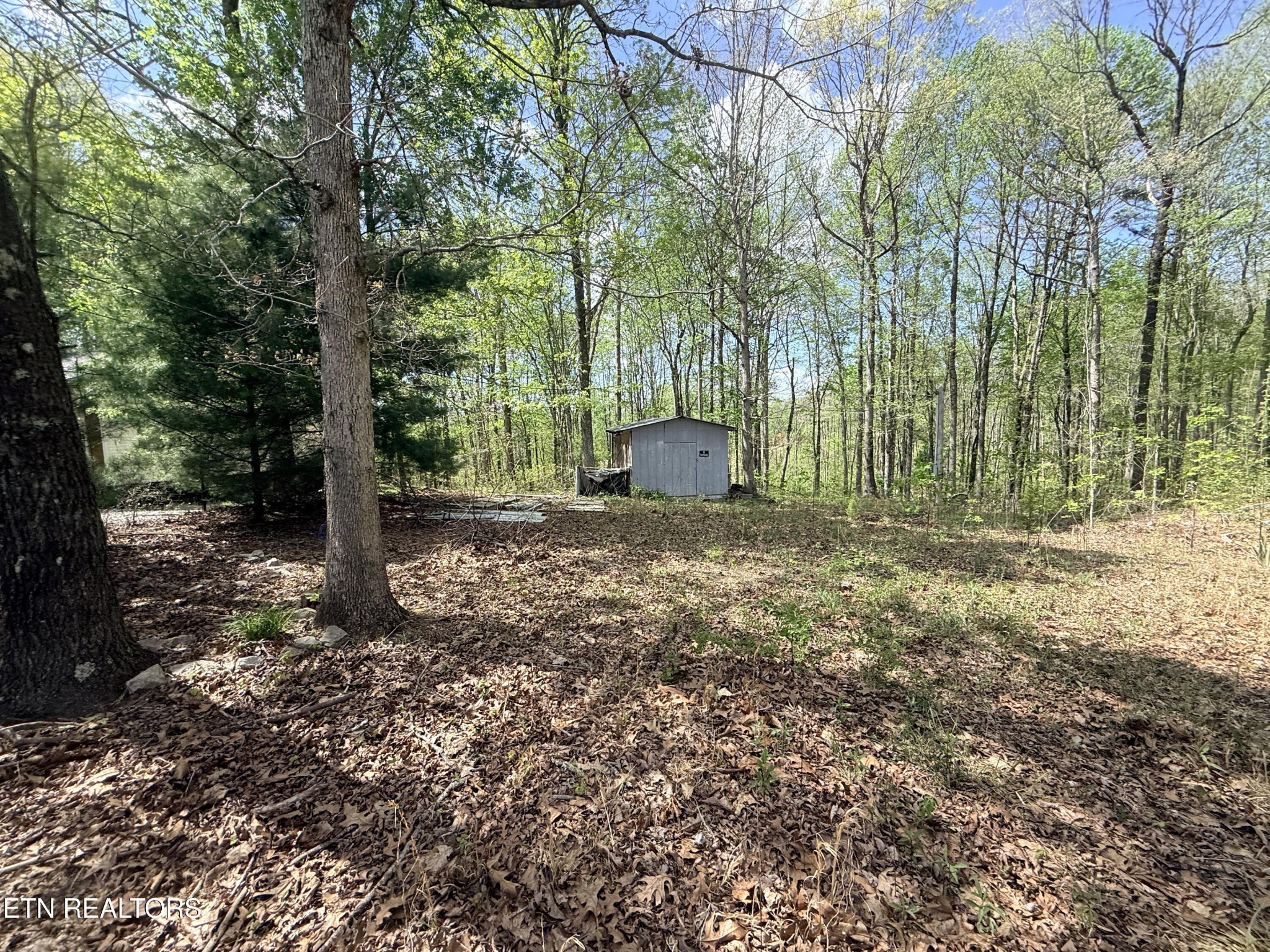 238 Joe Barnett Road Jamestown, TN 38556 - Photo 6 of 10 Gallery Image 6