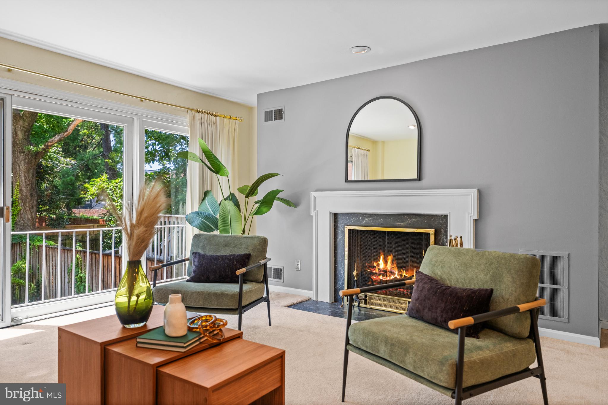 413 D Street Southeast Washington, DC 20003 - Photo 23 of 41 Living Room With Wood Burning Fireplace