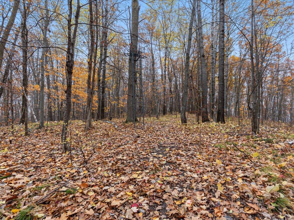 3918 44th Street Southwest Pine River, MN 56474 - Photo 36 of 53