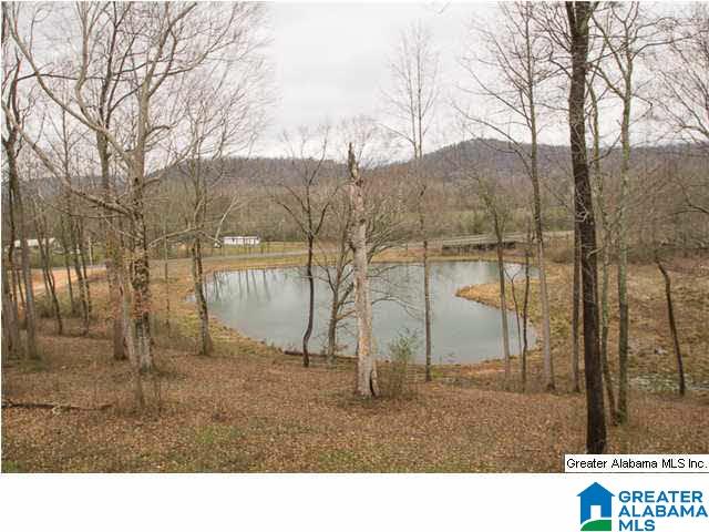 1540 County Road 39 Oneonta, AL 35121 - Photo 19 of 24
