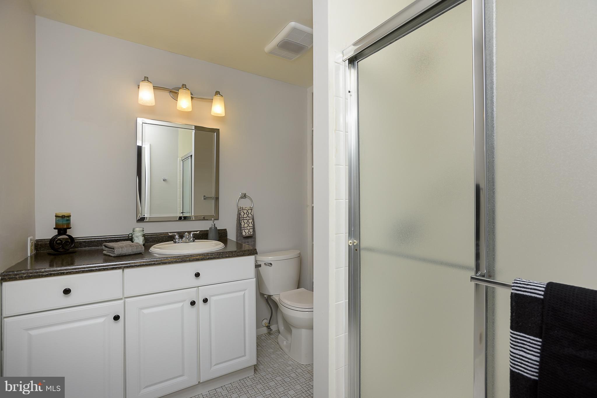 9767 Early Spring Way Columbia, MD 21046 - Photo 15 of 30 Bath (Master)
