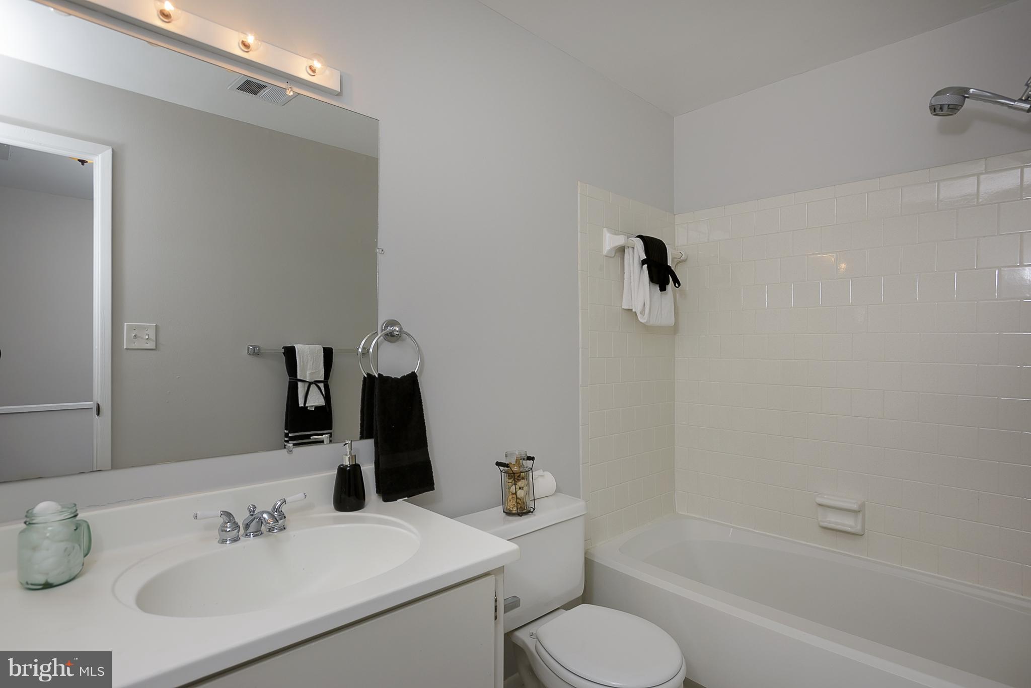 9767 Early Spring Way Columbia, MD 21046 - Photo 16 of 30 Bath (Master)