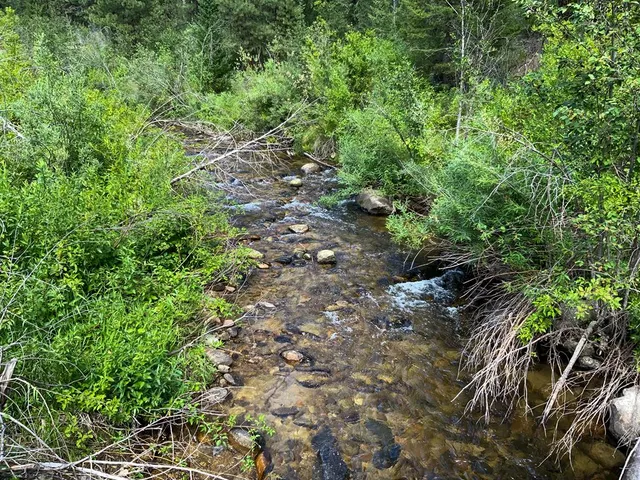 $398,000 | Tbd Meadow Creek Road, Idaho City, ID 83631