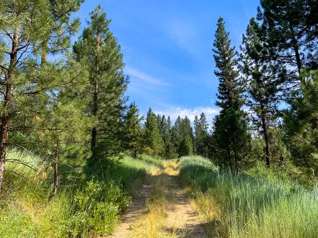 $398,000 | Tbd Meadow Creek Road, Idaho City, ID 83631