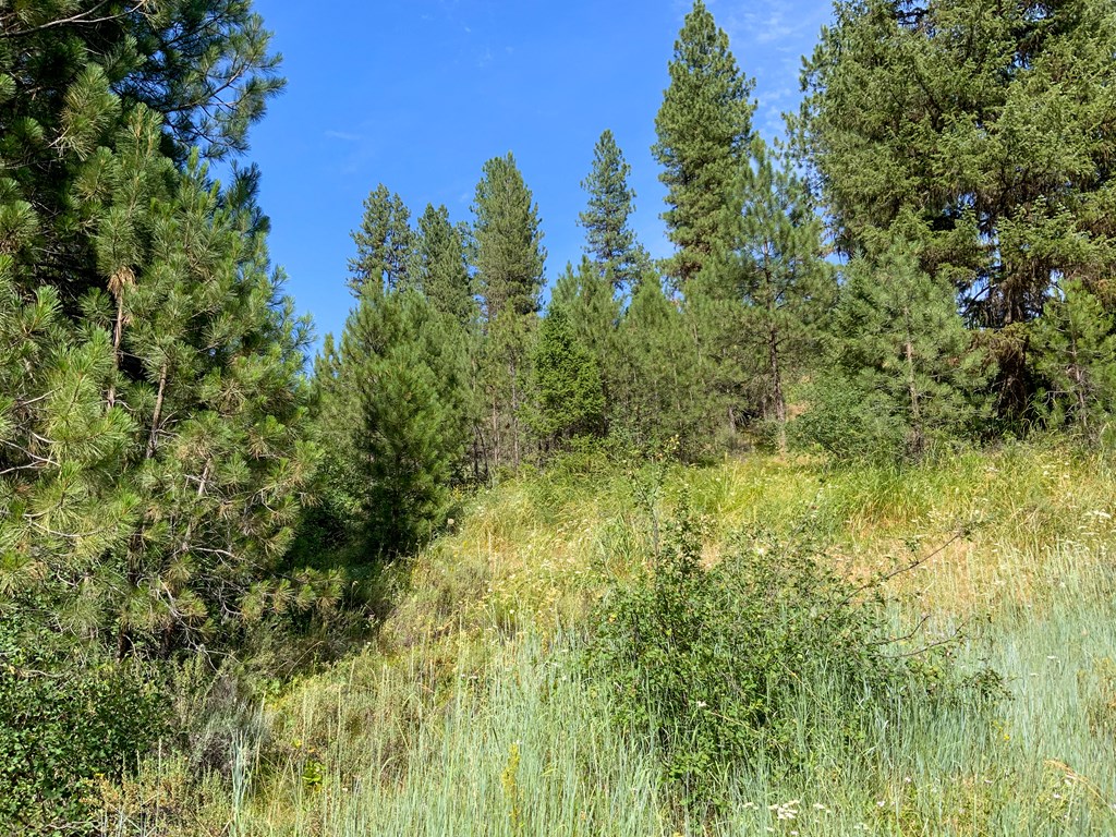 Tbd Meadow Creek Road Idaho City, ID 83631 - Photo 7 of 15