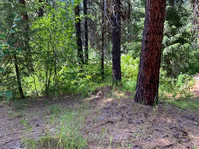 $398,000 | Tbd Meadow Creek Road, Idaho City, ID 83631