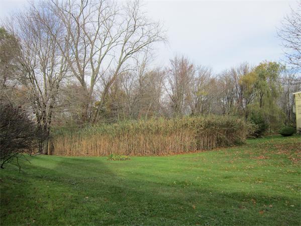 114 Village Post Road, Unit 114 Danvers, MA 01923 - Photo 9 of 13 Gallery Image 9