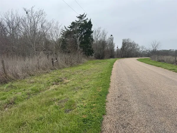a large green field with lots of bushes