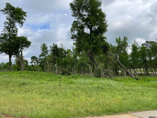 $18,000 | Tbd Tbd Live Oak, Alto, TX 75925