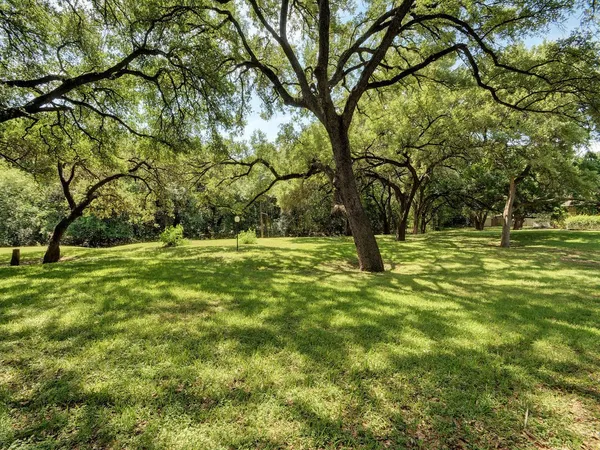 $1,350 | 1601 Faro Drive, Unit 502, Austin, TX 78741