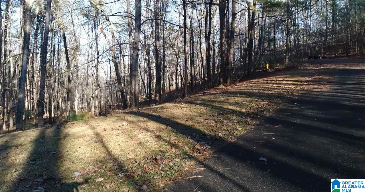 85 Brook Drive, Unit F Birmingham, AL 35242 - Photo 1 of 8