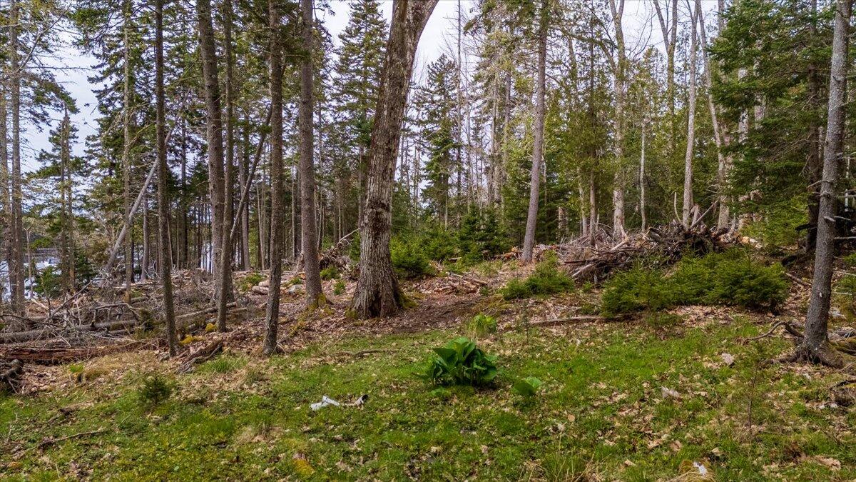22 Map Lane Islesboro, ME 04848 - Photo 14 of 15 Map 22 Lot 4B Big Tree Lane, Islesboro