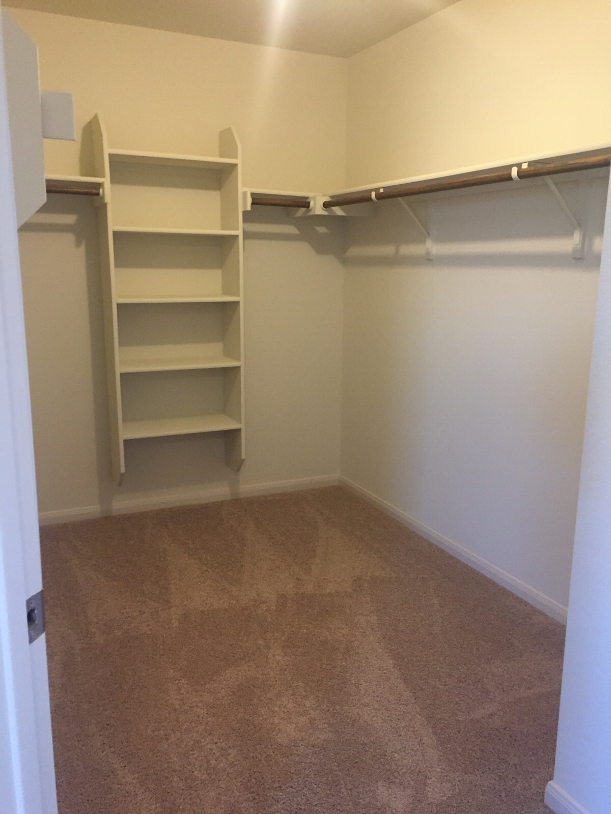 384 Discovery Kyle, TX 78640 - Photo 11 of 18 Walk in closet with dark colored carpet