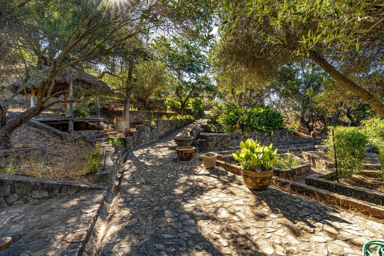 2900 Spring Mountain Road St. Helena, CA 94574 - Photo 29 of 35