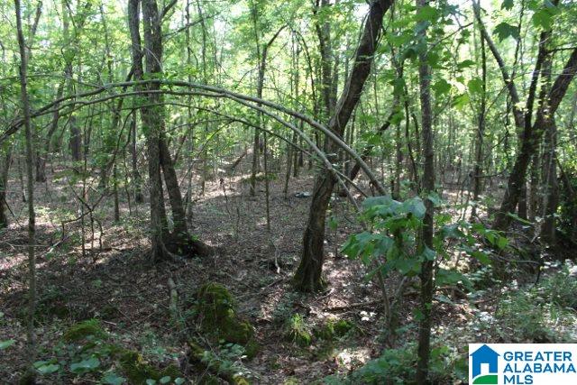 1 Benefield Gap Road Attalla, AL 35954 - Photo 43 of 50