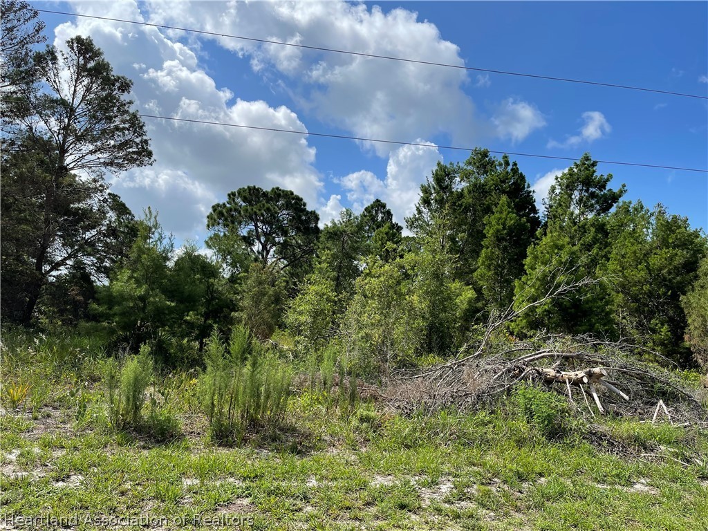 3009 West Kevin Road Avon Park, FL 33825 - Photo 3 of 5 Gallery Image 3