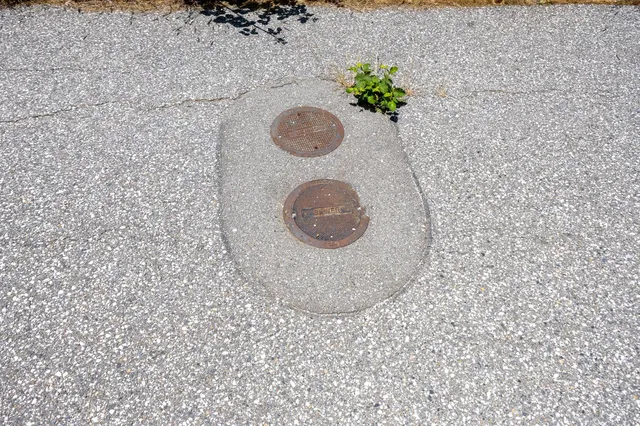 a view of a pathway with a yard