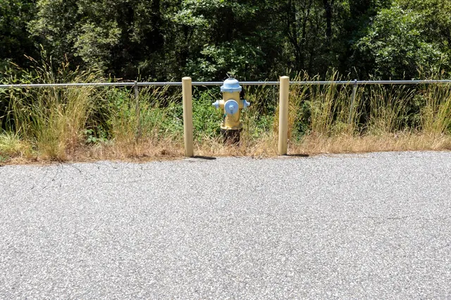 a view of a backyard of the house
