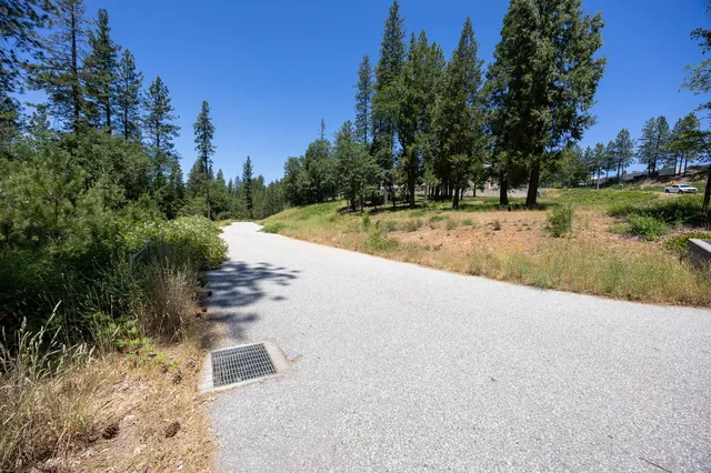 a view of flowers in a bunch of flowers