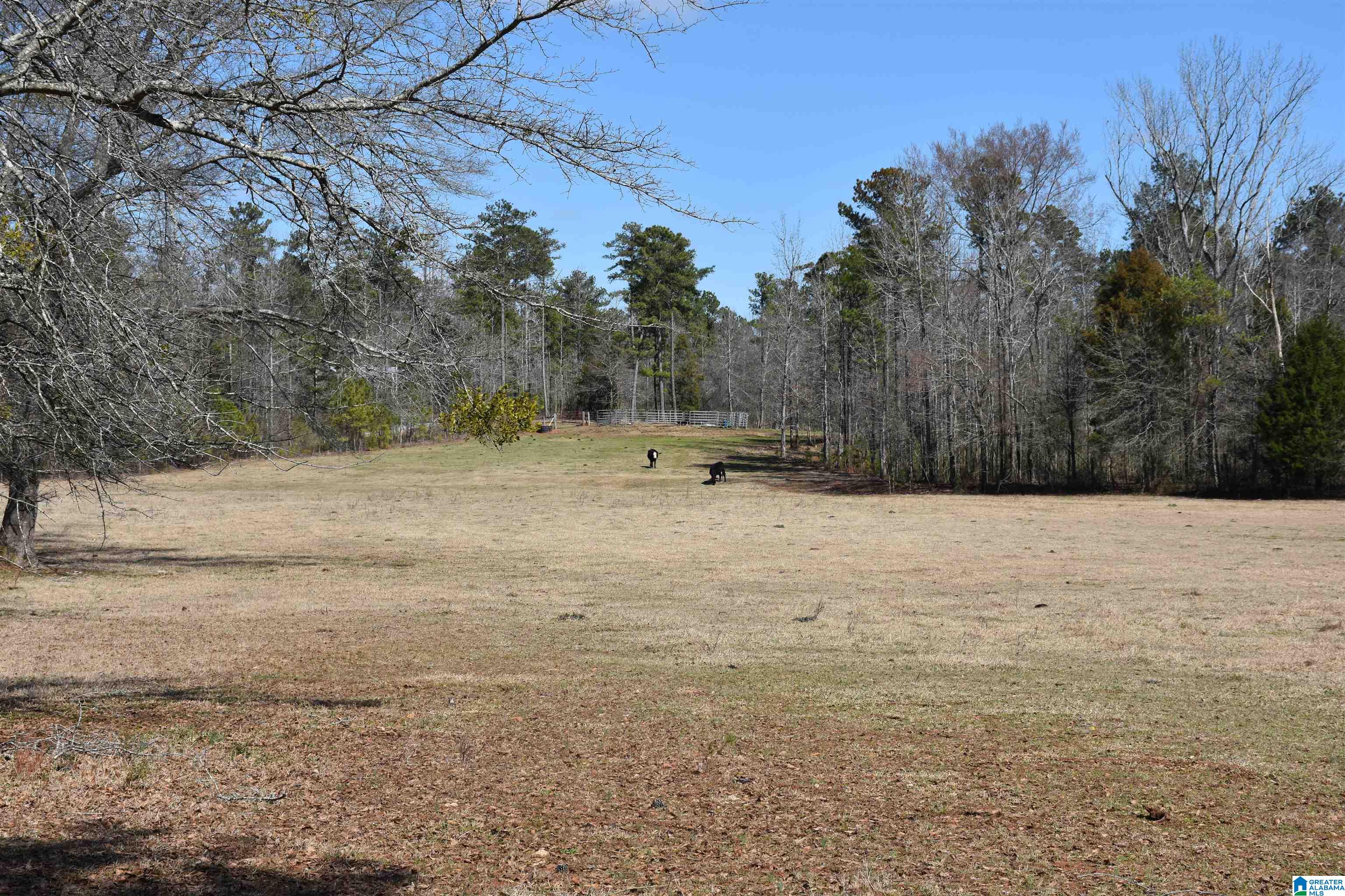 2003 New Maryland Road Alpine, AL 35014 - Photo 30 of 38