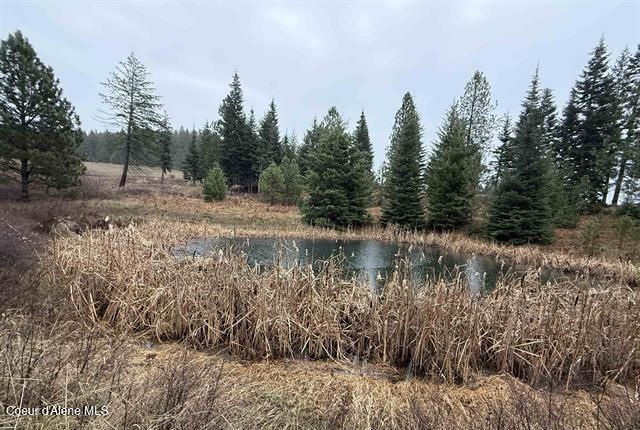 1653 Kidder Ridge Road Kamiah, ID 83536 - Photo 41 of 45 41