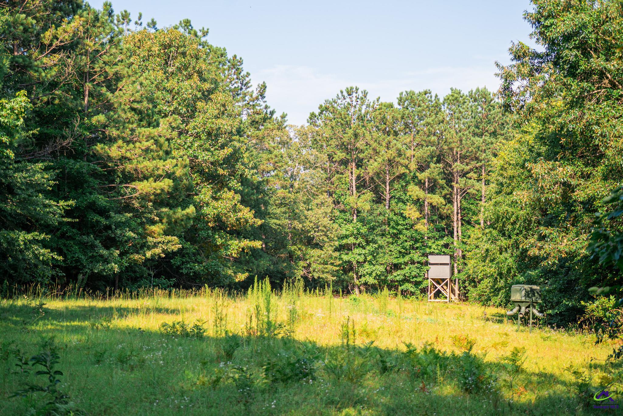 Southland Road Butler, GA 31006 - Photo 65 of 68